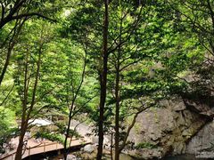 -宁波五龙潭景区