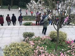 -南山植物园