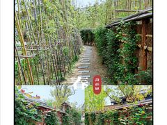 -诗经里
