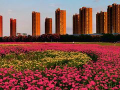 -映月湖中央公园