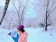 -中旅松花湖滑雪场