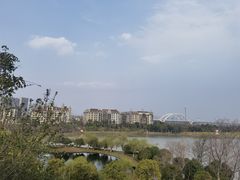 -九龙湖公园