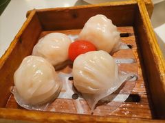悦满楼虾饺皇-悦满楼·西关名点·湛江名菜(航空综合大厦店)