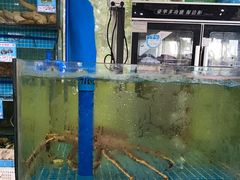 -锦里海景海鲜餐厅.三亚老字号(亚龙湾中心广场店)