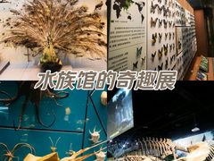 -天津自然博物馆