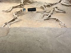 -洛阳周王城天子驾六博物馆