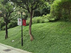 -云溪植物园
