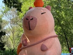 -北京野生动物园