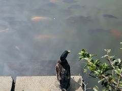 -阿育王寺