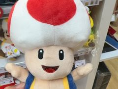 -Big Bus Tours 敞篷观光巴士