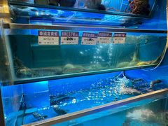 -協成海鮮火鍋(老店)