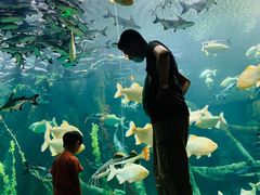 -波塞冬旅游度假区