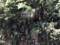 -太湖源风景区