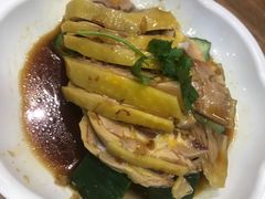 嫩滑沙姜鸡-裕记烧腊连锁餐饮(国商分店)