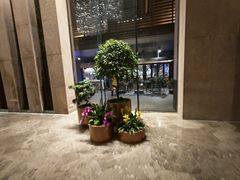-北京朝阳悠唐皇冠假日酒店