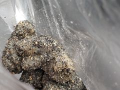 -叶氏麻糍(鼓浪屿店)