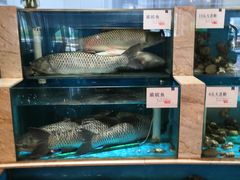 水产区-福娣·金沙银贝海鲜火锅