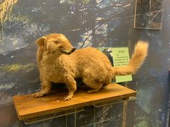 -下渚湖国家湿地公园科普馆