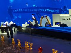 -烟台海昌鲸鲨海洋公园