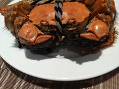 -飨食汇全日制餐厅·昆山皇冠假日酒店(九方店)