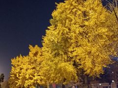 -大连人民广场