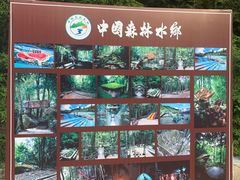 -龙岩森林水乡景区