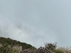 -大围山国家森林公园
