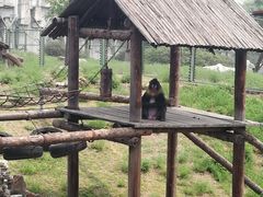 -石家庄市动物园