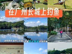 -天鹿湖森林公园