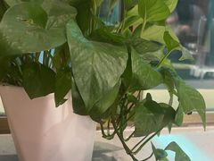 -五谷虫子鸡(医学院店)