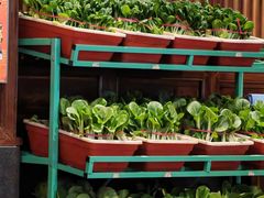 -天和晟烤鸭店(玉泉西街店)