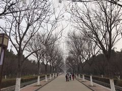 -洛阳市隋唐城遗址植物园