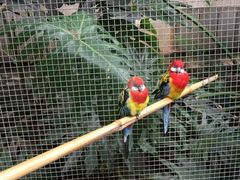 -大连森林动物园