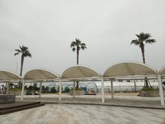 -碧海金沙