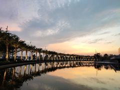 -宝安西湾红树林湿地公园