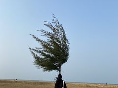 -白沙门生态公园