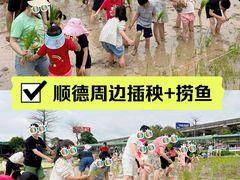 -新地休闲农场