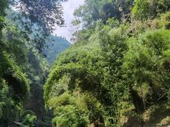 -三峡人家风景区