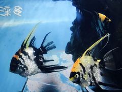 -福州罗源湾海洋世界旅游区