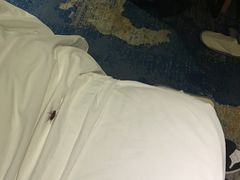 -JOYA湾悦国际酒店(世界之窗店)