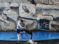 -泉州海丝野生动物世界