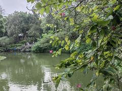 -柳侯公园