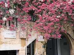 -广州市紫泥堂文化创意园景区