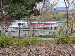 -运河游船(武林门码头)