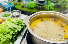 Ecological Softshell Turtle and Pigeon Soup