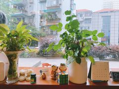 -Be Lived Cafe比例咖啡(摩天轮店)