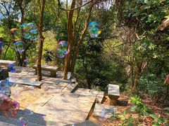 -梧桐山风景名胜区