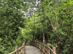 -青龙山国家森林公园