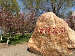 -长白岛森林公园