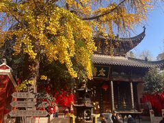 -长春观